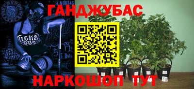 прущие грибы Малгобек